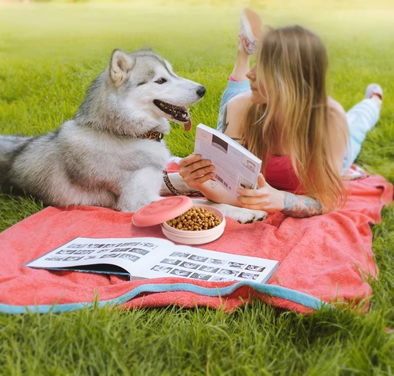 وعاء سفر للكلاب 2 في 1 مقاس 11 - مراجعة Food Snacks For Camping وسعره